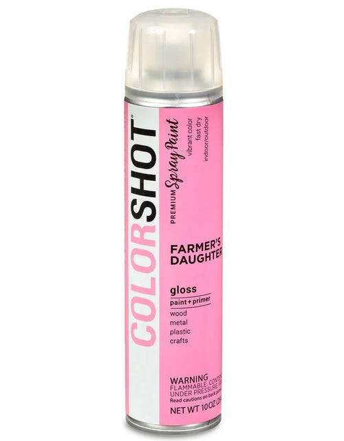 Load image into Gallery viewer, Premium Multi-Surface Gloss Farmers Daughter Spray Paint - 10 Oz - Pink
